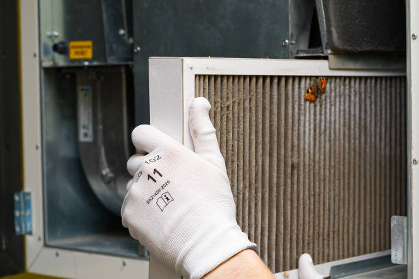 Best Air Quality Test  in Lakewood, WA