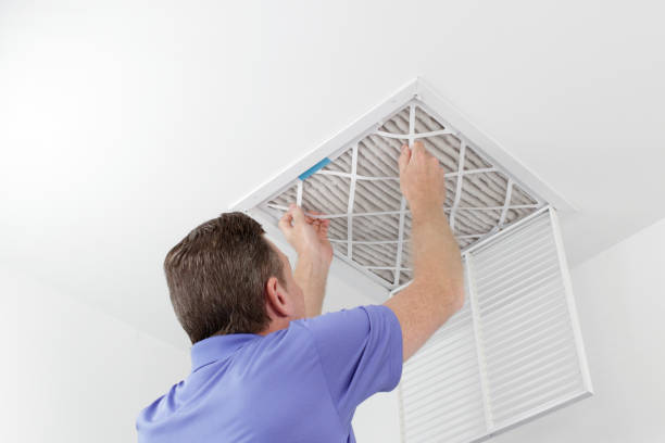 Best Air Duct Sanitizing Services  in Lakewood, WA
